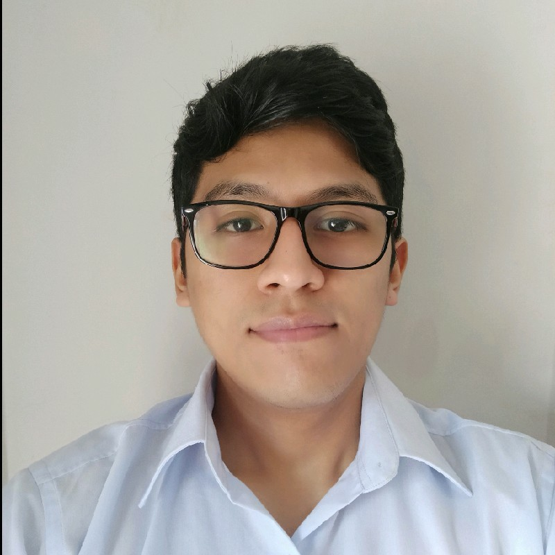 JavaScript,  Developer